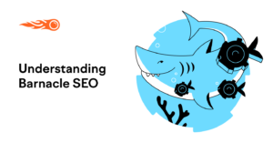 What is Barnacle SEO? | Barnacle SEO for SMBs