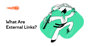 External Links (SEO Best Practices)